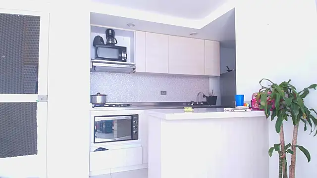 Something pork4 online show from 30, 11, 2025