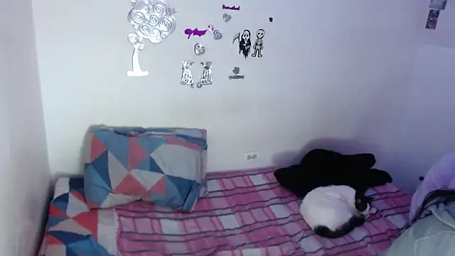 EvaHarryy online show from 1, 4, 2026