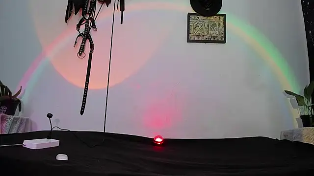 Snapshot of dex_55 chatting on 12, 5, 2026 dex 55 online show from 12, 5, 2026