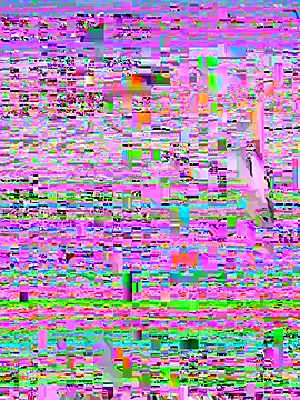 Snapshot of Rouse69_ chatting on 14, 11, 2025 Rouse69 online show from 14, 11, 2025