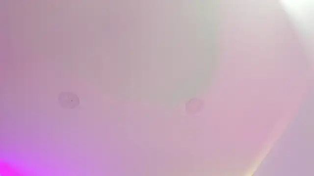 Cherrydollxx online show from 25, 9, 2025