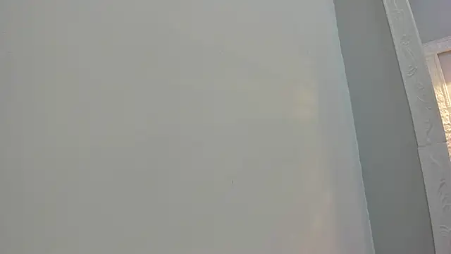 Saammy 17 online show from 8, 9, 2025