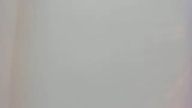 Saammy 17 online show from 9, 9, 2025