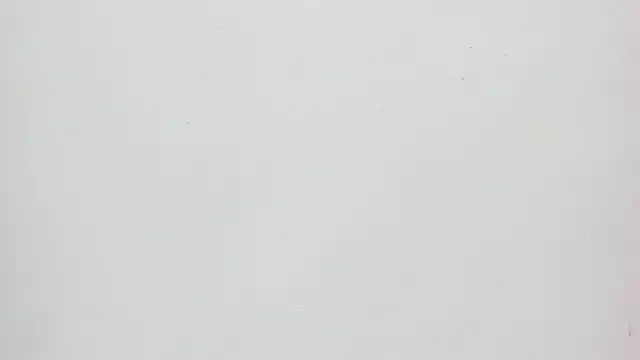 Saammy 17 online show from 20, 9, 2025