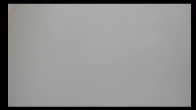 Saammy 17 online show from 22, 9, 2025