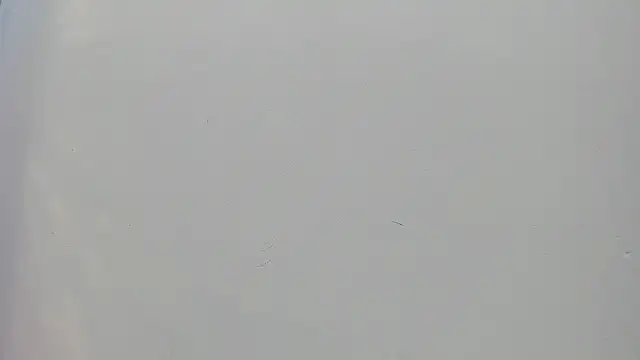 Saammy 17 online show from 25, 9, 2025