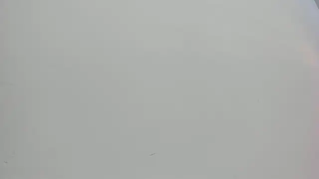 Saammy 17 online show from 1, 10, 2025