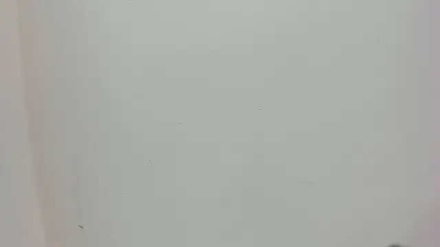 Saammy 17 online show from 3, 10, 2025