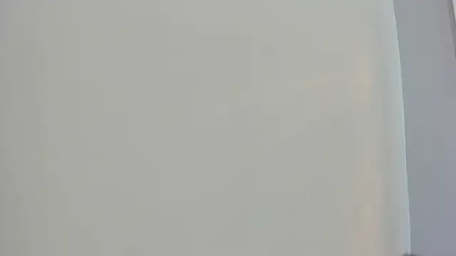 Saammy 17 online show from 4, 10, 2025