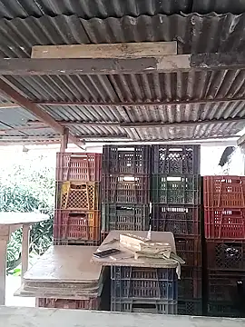 hoteder online show from 16, 2, 2026