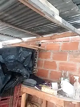 hoteder online show from 23, 3, 2026