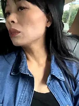 petoys online show from 30, 9, 2025