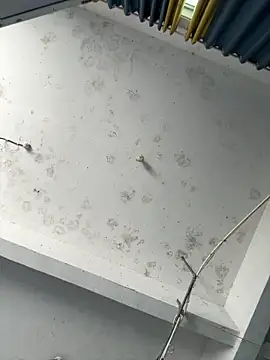 Snapshot of coco-o chatting on 26, 9, 2025 coco-o online show from 26, 9, 2025