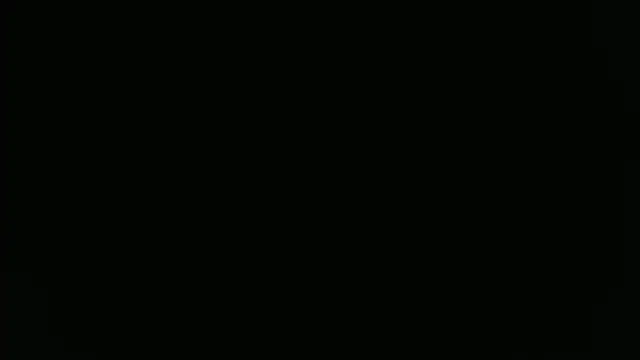 Snapshot of ParisAndVi chatting on 11, 11, 2025 ParisAndVi online show from 11, 11, 2025