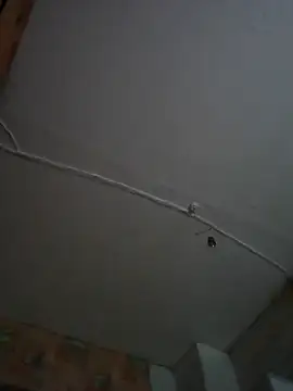 Romashka33011 online show from 6, 11, 2025