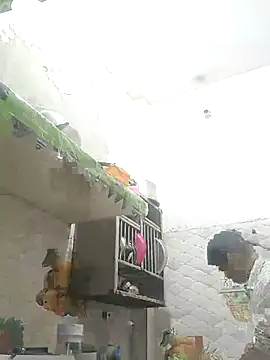 NoxiousFilename online show from 12, 10, 2025