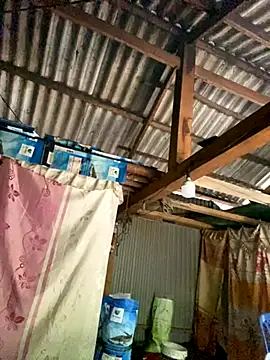 PhanHaa online show from 20, 10, 2025