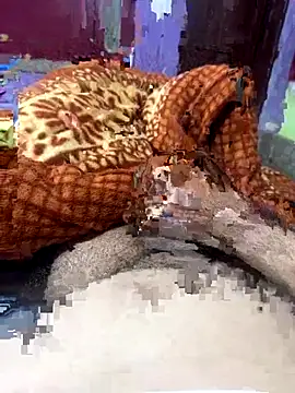 Rupkumarmaleforfun online show from 18, 12, 2025