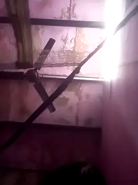 TINASONI online show from 6, 11, 2025