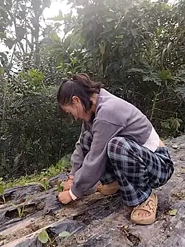 linda bae00 online show from 15, 11, 2025