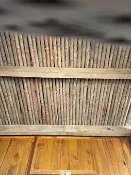 EmLy02 online show from 13, 4, 2026