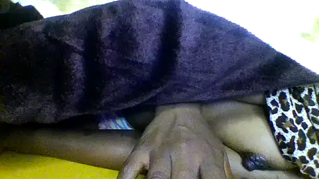 seawear online show from 21, 4, 2026