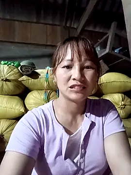 Mini3333 online show from 24, 3, 2026