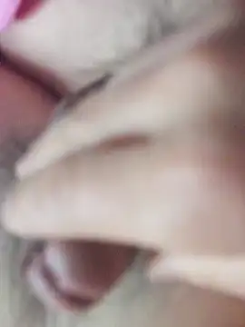 Hl1979 online show from 25, 2, 2026