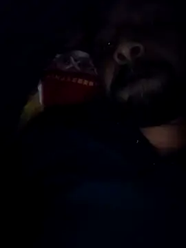 Snapshot of Sexyhotboy7inch chatting on 21, 11, 2025 Sexyhotboy7inch online show from 21, 11, 2025