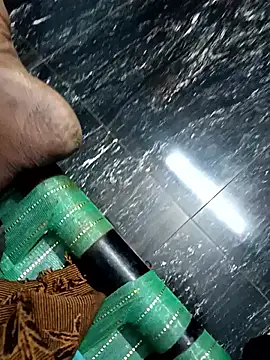 dolphiinn online show from 4, 11, 2025