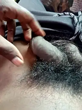 dolphiinn online show from 5, 11, 2025