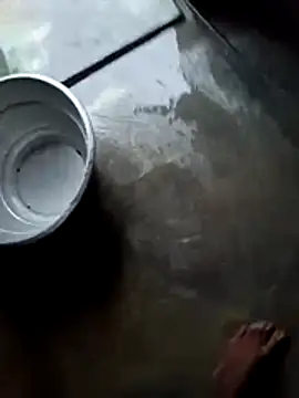 dolphiinn online show from 28, 11, 2025