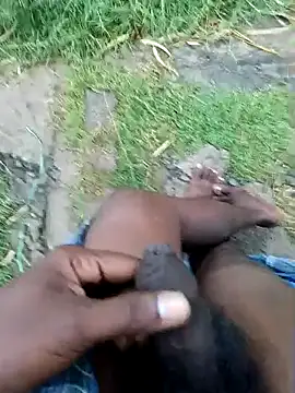 dolphiinn online show from 22, 12, 2025