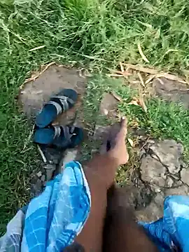 dolphiinn online show from 8, 1, 2026