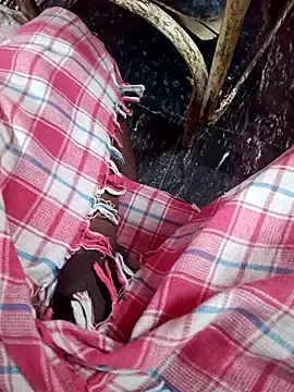 dolphiinn online show from 13, 1, 2026