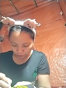 venu00 online show from 26, 9, 2025