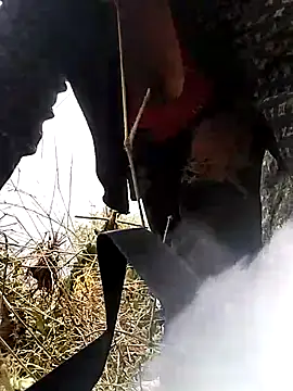 venu00 online show from 25, 3, 2026