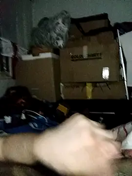 LolGamer54321 online show from 16, 2, 2026