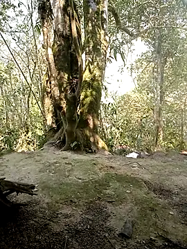 rubi bae online show from 7, 4, 2026