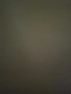 Floki69Hub online show from 10, 7, 2026
