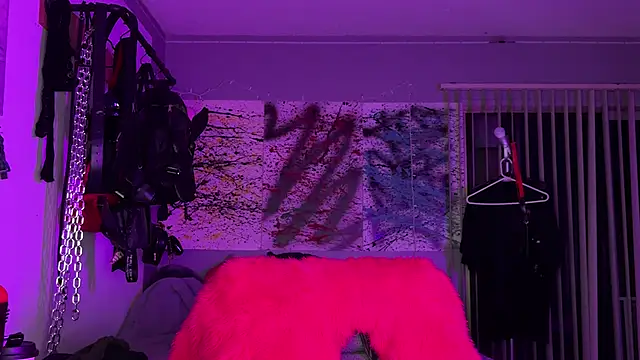 xoFrankie online show from 12, 10, 2025