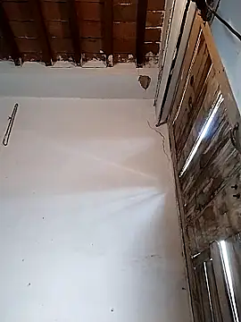 PunjabiSardarBull online show from 22, 3, 2026