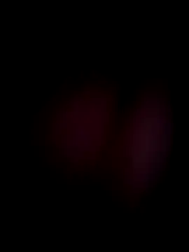 YourTarzan online show from 13, 2, 2026