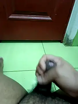 Snapshot of Geminis_95 chatting on 2, 12, 2025 Geminis 95 online show from 2, 12, 2025