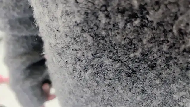 lingzi9333 online show from 26, 11, 2025