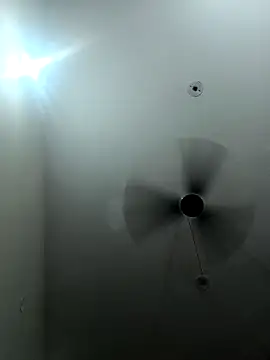 Appypie online show from 16, 9, 2025