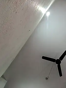 Appypie online show from 11, 11, 2025