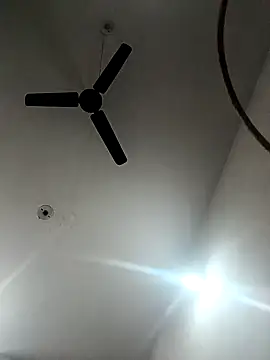 Appypie online show from 18, 11, 2025