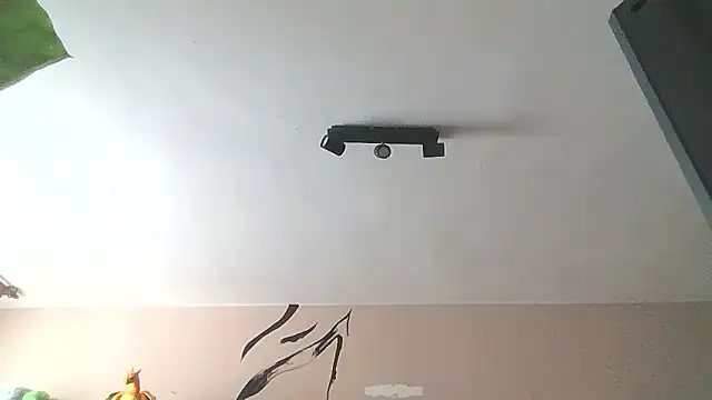   Leyla   online show from 12, 1, 2026