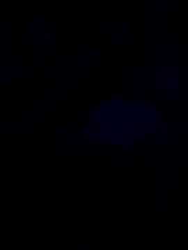 Snapshot of changavega chatting on 31, 10, 2025 changavega online show from 31, 10, 2025